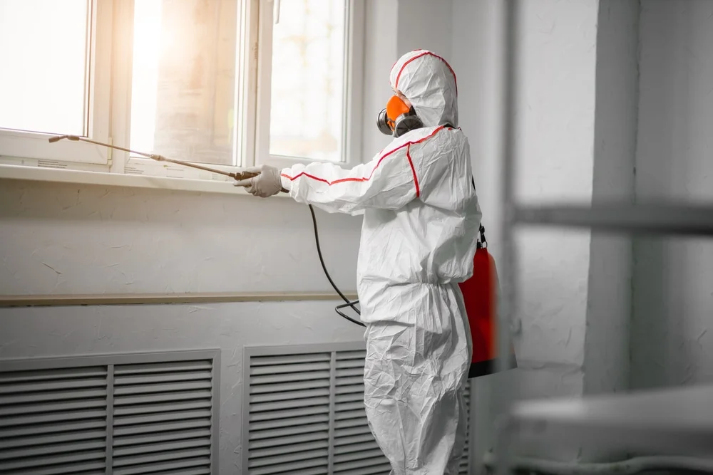 Professional mold remediation services in Farmersville, TX